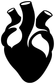 HeartCX006 — Anatomical Heart ; preview rendered from the saved vector PDF