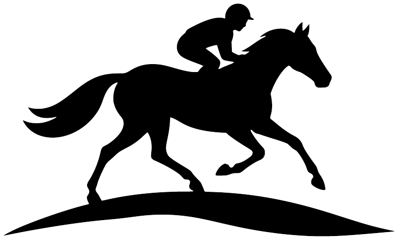 Black horse racing vinyl decal silhouette of jockey and galloping horse