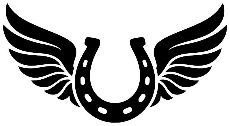 Black horseshoe with wings vinyl decal, close-up on white background