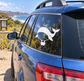 White whale hot air balloon vinyl decal on car window