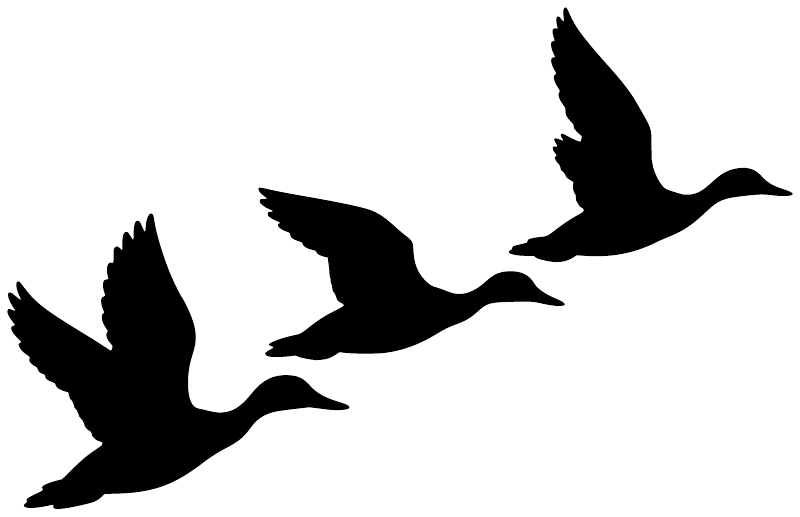 Bird flight vinyl decal with three black duck silhouettes in flight