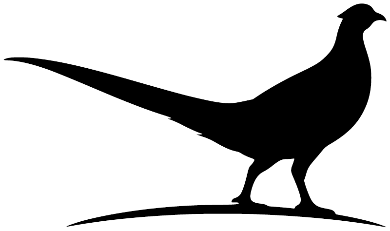Upland pheasant vinyl decal with black silhouette and ground line.