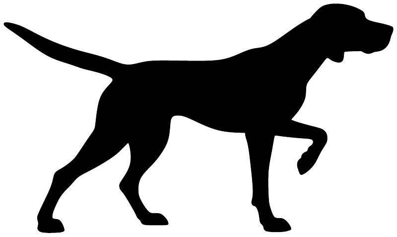 Vinyl decal of black hunting pointer dog silhouette, side view on white.