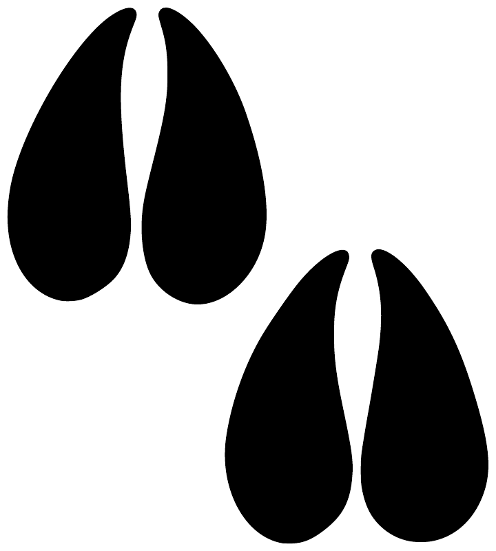 Vinyl decal close-up featuring four black teardrop droplet shapes on white