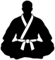Karate fighter vinyl decal silhouette in black with white gi belt