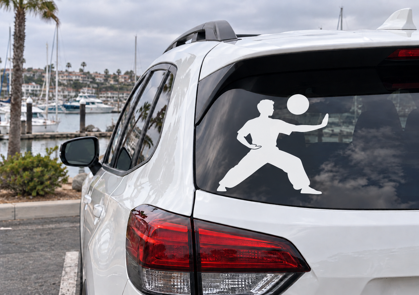 Martial arts vinyl decal: black fighter silhouette with white circle on window