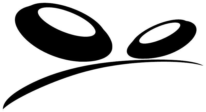 Vinyl decal close-up: two black oval eyes with white centers and smile curve