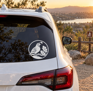 Quail crest vinyl decal on rear window of a white car