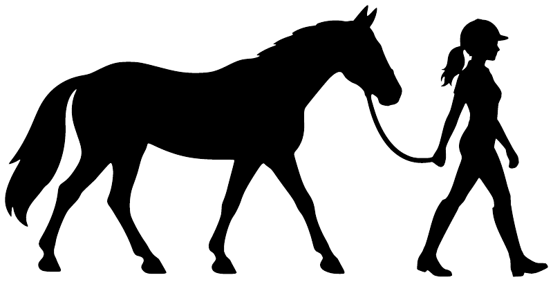 Horse and rider vinyl decal, black silhouette for windows or doors