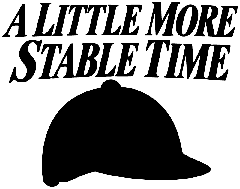 Vinyl decal close-up: “A LITTLE MORE STABLE TIME” with black helmet silhouette