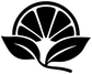 Citrus sunrise vinyl decal close-up, black citrus blossom with white sun rays