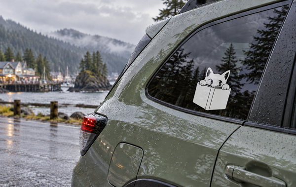 Cat vinyl decal holding an open book on a car window