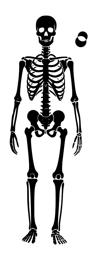 Black skeleton vinyl decal with small crescent moon beside the head