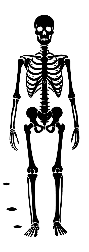 Standing mirrored skeleton decoration with detailed hands, feet, and leaf accents