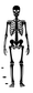 Standing mirrored skeleton decoration with detailed hands, feet, and leaf accents