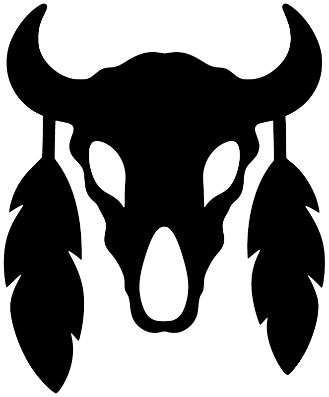 Black bison skull vinyl decal with two feather sides