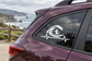 Vinyl decal: black surfer silhouette with heartbeat line on car window