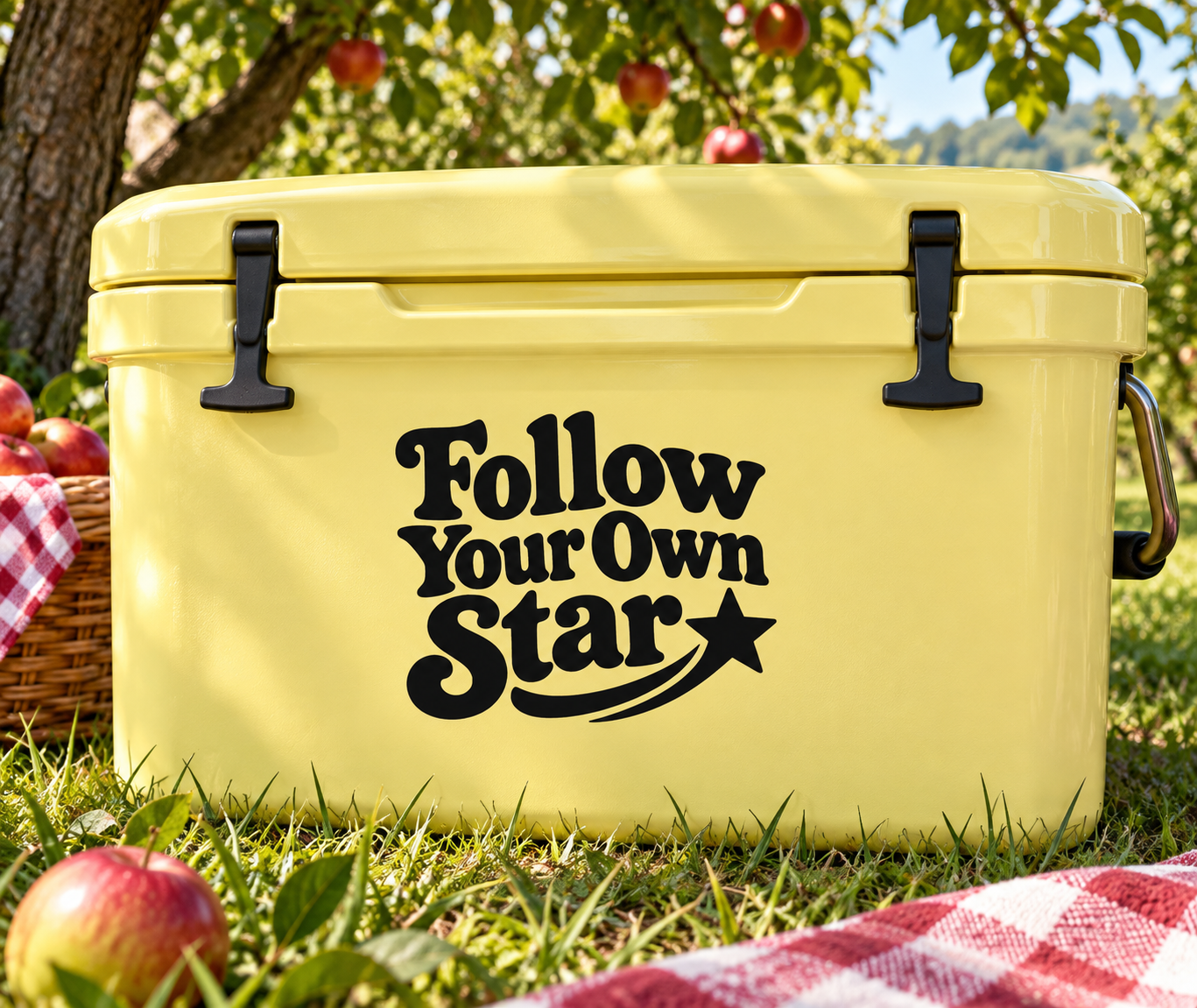 StarCX022 - Follow Your Own Star; illustrative application of the exact PDF artwork