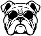 Bulldog face vinyl decal, black and white outline art with curled ears