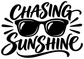 Chasing Sunshine vinyl decal featuring black sunglasses with decorative rays and script text