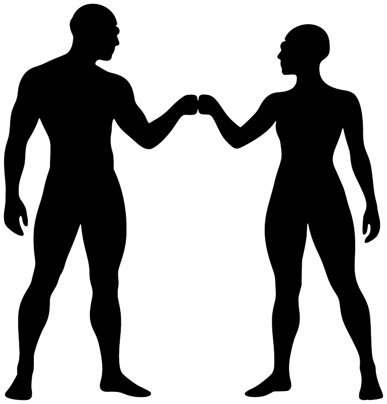 SwimmingCX005 - Swimming Pool Friends; preview rendered from the saved vector PDF