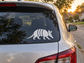 Texas armadillo profile vinyl decal on car window glass