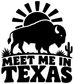 Black buffalo sunburst vinyl decal with “MEET ME IN TEXAS” lettering, bold stencil style