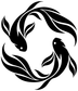 Black koi fish vinyl decal swirl with white negative space, close-up