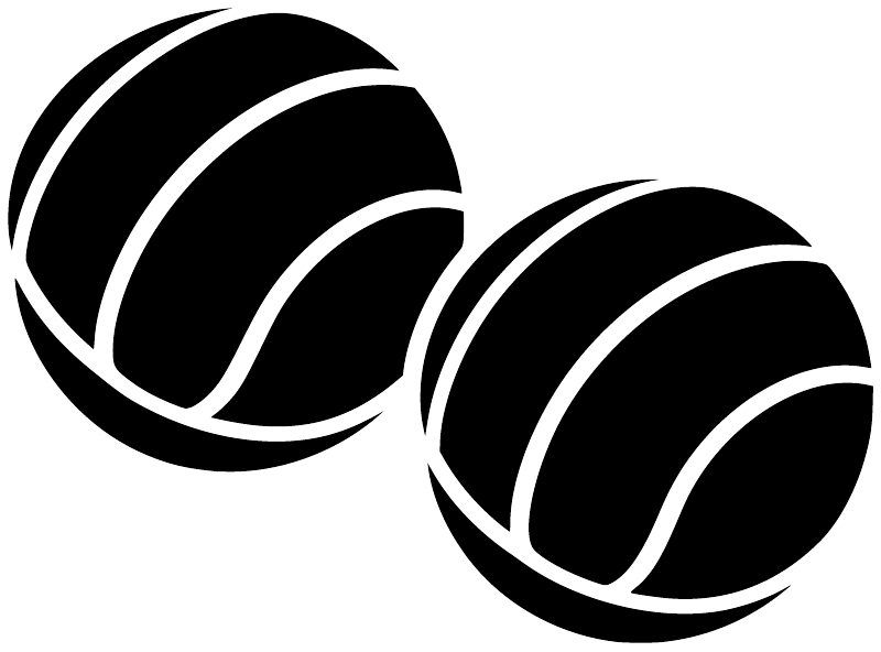 Water polo two ball vinyl decals, black with white outlines, pair of balls