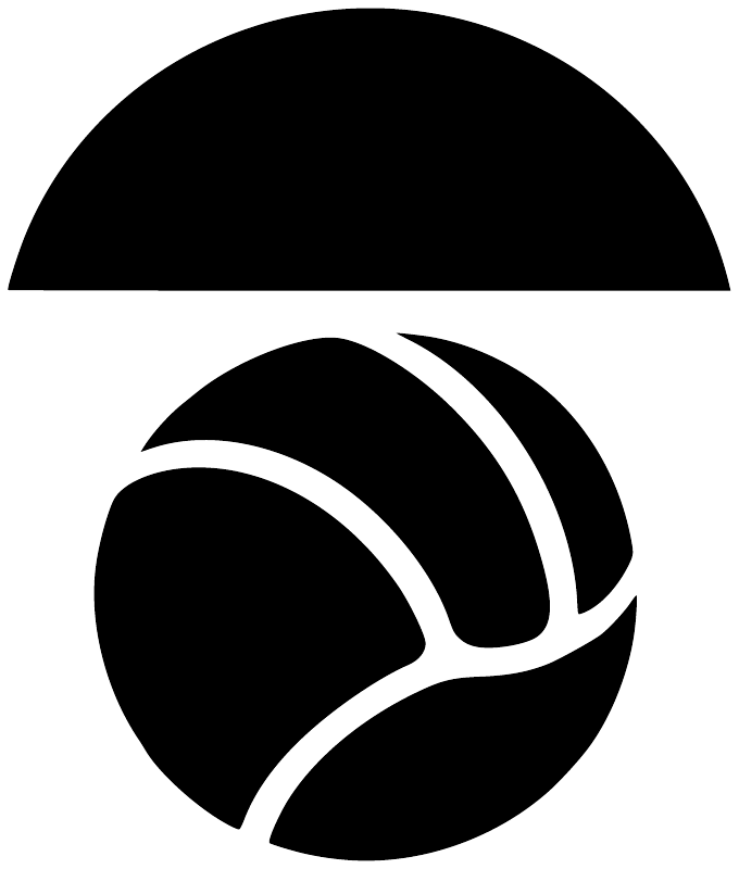 Vinyl logo decal: black circle with white water polo ball lines