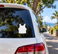 Water skiing vest vinyl decal on car rear window, white silhouette