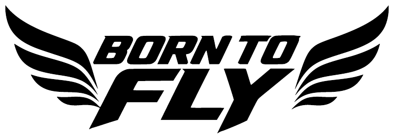 Black "BORN TO FLY" wing vinyl decal with bold stylized lettering close-up