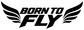 Black "BORN TO FLY" wing vinyl decal with bold stylized lettering close-up