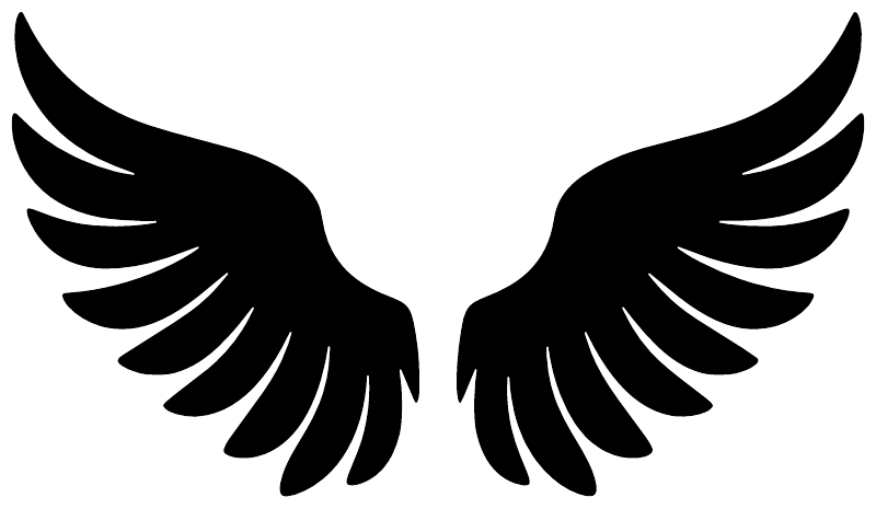 Black angel wing vinyl decal pair close-up, symmetrical feather design