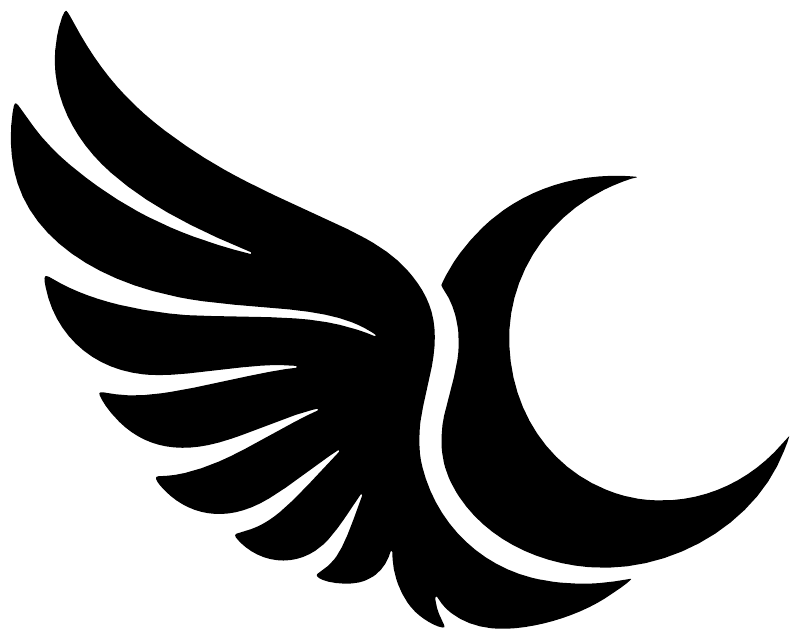 Black wing and crescent moon vinyl decal, close-up