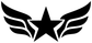Wing and star vinyl decal close-up, white star and wings with black center