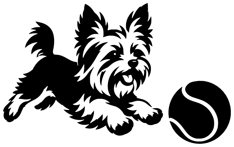 Yorkshire terrier vinyl decal graphic, black dog with white highlights and curved fetch arrow