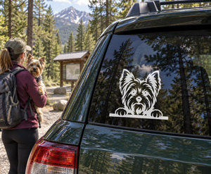 Yorkshire terrier peek vinyl decal on car rear window, black and white dog silhouette