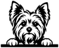 Yorkshire terrier peek vinyl decal, black and white dog face with paws
