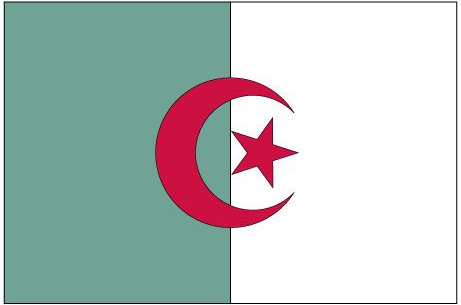 Algeria flag sticker with green field, red crescent, and red star center design
