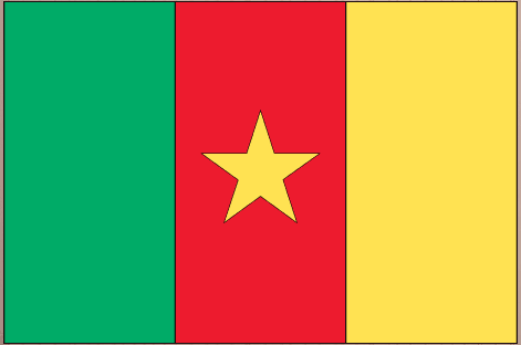 Cameroon flag sticker with vertical green, red, yellow panels and red star emblem