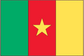 Cameroon flag sticker with vertical green, red, yellow panels and red star emblem
