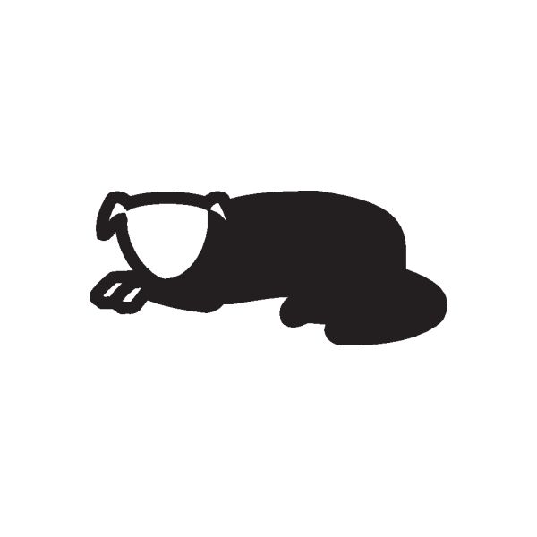 Black cat with arched back decal, full-body silhouette with curved tail.