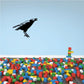 Black crow decal with wings spread, detailed silhouette