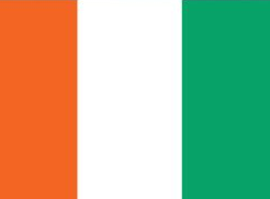 Flag sticker with orange, white, and green vertical stripes
