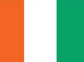 Flag sticker with orange, white, and green vertical stripes