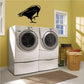 Black crow grooming decal silhouette