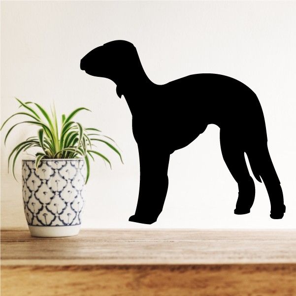 Bedlington terrier decal with black standing dog silhouette