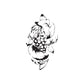 Tattoo-style black outline animal wall decal with bow and grape bunch