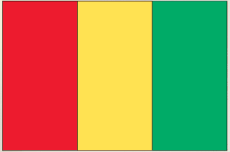 Guinea flag sticker with vertical red, yellow, and green stripes